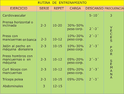 Para principiantes aerobica rutina